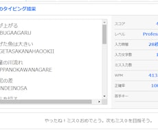 素早いタイピングでデータ入力代行いたします ・正確で素早いタイピングが売りです！