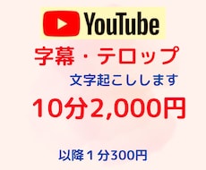 YouTubeなどのテロップ・文字起こしを行います イメージ1