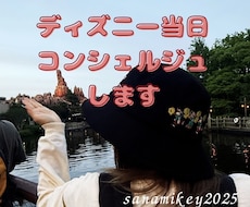 当日ディズニー回り方をコンサルティングします パーク入園後、待ち時間や天候を配慮した最適解をお伝え！