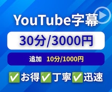 格安❗️YouTube内字幕を提供します イメージ1