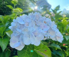 あなたのお気持ちお聞きします イメージ1