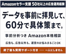 Amazon広告の悩みを60分で整理します 事前にデータ拝見｜60分で具体策まで｜広告以外もOK