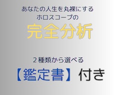 徹底的に自分を知るホロスコープ総合鑑定します 性格・適職・自己実現・将来像が分かる完全分析【鑑定書付き】