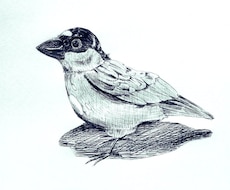 あなたのペットの似顔絵描きます イメージ1