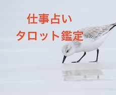 AIで占っても満足出来ない方へ！仕事運読み取ります イメージ1