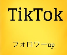 TikTokのフォロワー＋500人増やしまます 世界中の方にあなたのTikTokのフォロワーになって貰おう！