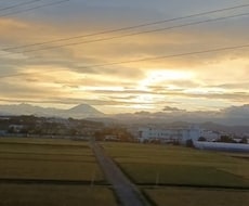 届かない想い、切ない想い、切ない気持ち、占います イメージ1