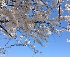 今日はどんな日でしたか？何でもお話し頂けます イメージ1