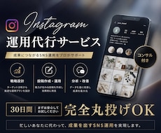 丸投げOK!!Instagram運用代行致します あなたの運用を30日間お任せ下さい！