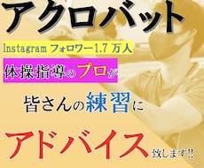 アクロバット/練習動画にアドバイスします イメージ1