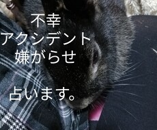 不幸 トラブル アクシデント 悪因の原因占います イメージ1