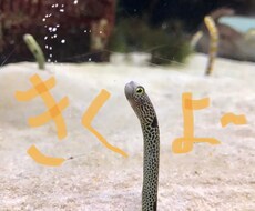 思考改善‼️チャットで相談受けます イメージ1