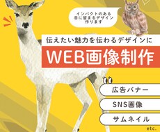 オープン記念価格！目に止まる画像を制作します イメージ1