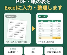 PDFや紙の表をExcelに入力・整理します イメージ1