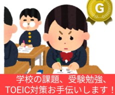 あなたに代わって英語の問題を解きます 《完全カスタマイズ制》大学の課題、試験対策、受験対策に。