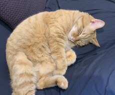 人生を豊かにメイキングするコーチングをいたします イメージ1