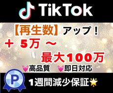 TikTok再生数50000回以上増やします 1万回単位で分散可能！TikTokの再生回数を宣伝拡散します