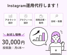 Instagram運用をまるごと代行します イメージ1