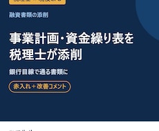 融資用の事業計画・資金繰り表を税理士が添削します イメージ1