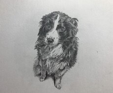 アナタの思い出、描きます