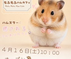 非AI・SNS広告画像・キャンペーン画像制作します Instagram投稿・広告に使える画像を制作します