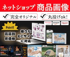 1商品5000円10商品限定商品画像制作致します イメージ1