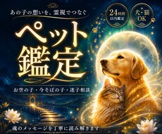 ペットがあなたに届けたい本音を読み解きます あの子の気持ちが分からず悩むあなたへ、魂のメッセージをお届け