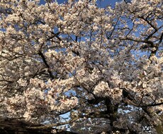 嫁姑問題、ワンオペ育児など相談乗ります イメージ1