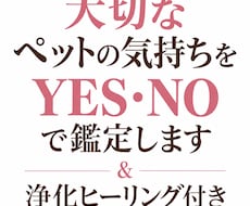 大切なペットの気持ちをYES・NO鑑定＆浄化します イメージ1