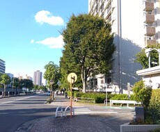 ちょっと話を聞いてほしいそんな時お相手いたします イメージ1