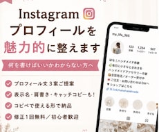 Instagramプロフィールを魅力的に改善します イメージ1