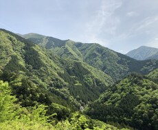 相談に乗ります イメージ1