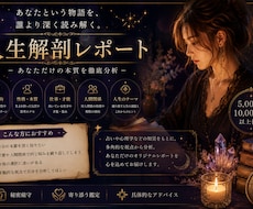 人生解剖レポートを作成いたします イメージ1