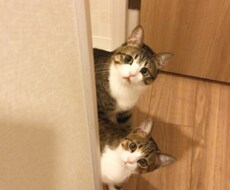 2人の相性を九星気学で占います イメージ1