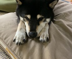 人に言えない悩みでも相談に乗ります イメージ1