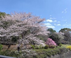 若者目線でお話伺います イメージ1