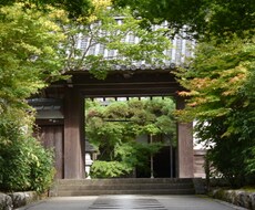 SNSやブログに使える写真素材を提供します
