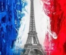フランス語のナレーション（録音）をいたします ネイティブによるフランス語ナレーション！