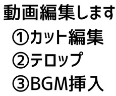 まずは無料サンプル動画からOK！動画編集いたます イメージ1