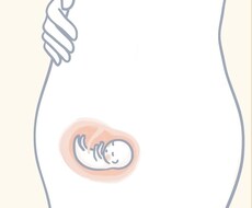 妊娠中に気になるアレコレ答えます イメージ1