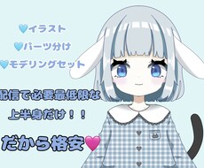 モデルイラストからモデリングまで行います イメージ1