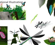生き物のイラスト作成いたします イメージ1