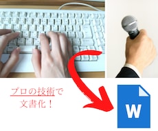 音声ファイルを【要約して】文字起しします ★元【要約筆記者】が簡潔な文書に！★