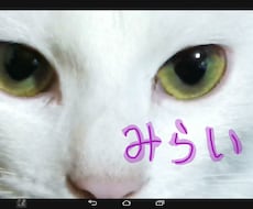 開運！タロットで、あなたの未来を占います イメージ1