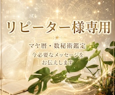 リピーター様専用　今必要なメッセージをお伝えします マヤ暦×数秘術であなたが知りたいことを深掘り鑑定します