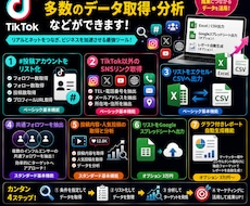 TikTokのデータ取得、分析など出来ます 指定アカウントのプロフィールや投稿情報、リンク情報抽出抽出