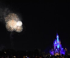 お子様と楽しむディズニーのアドバイスお伝えします イメージ1