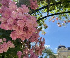 恋愛・恋活におけるお悩みの解消をサポートします イメージ1