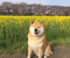 悩み相談承ります イメージ1