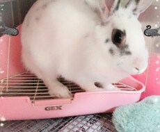 その不安の原因解決します イメージ1